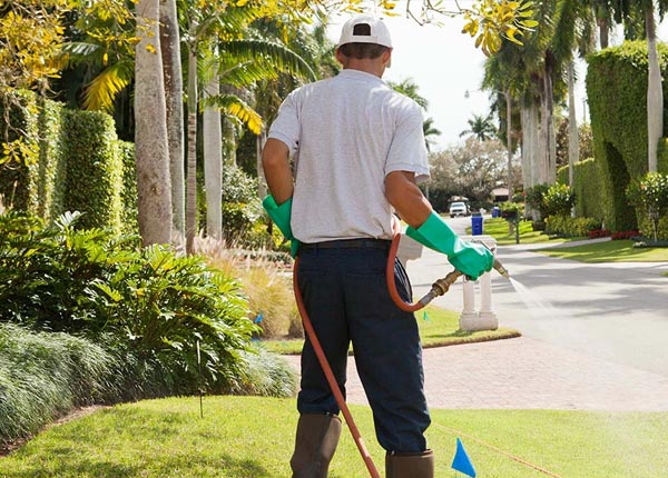 About Pelican LA Pest Control